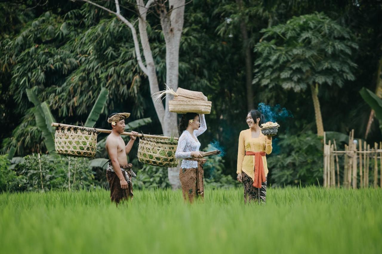 Candy Villa By Pramana Villas Ubud Exteriér fotografie