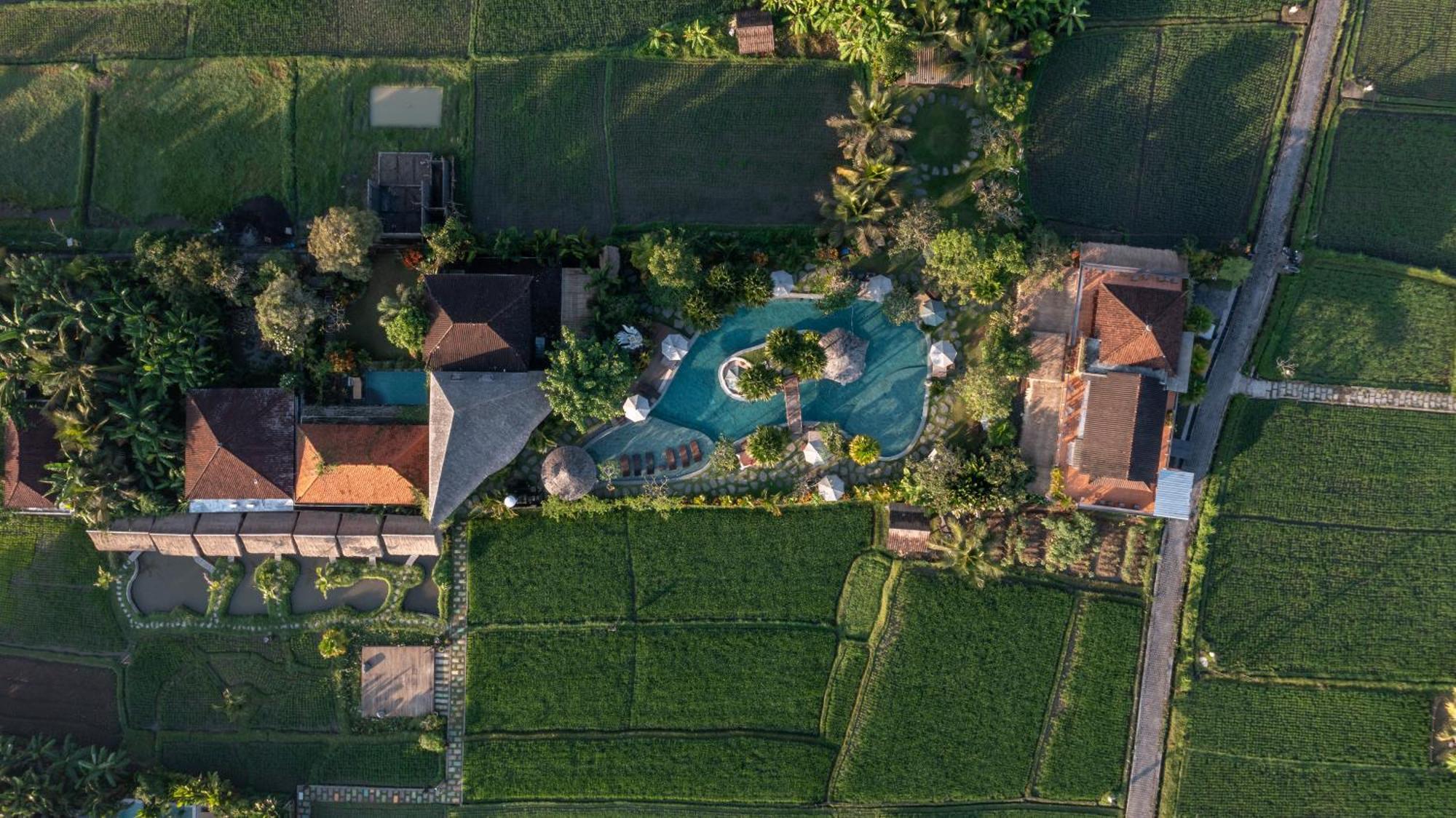 Candy Villa By Pramana Villas Ubud Exteriér fotografie